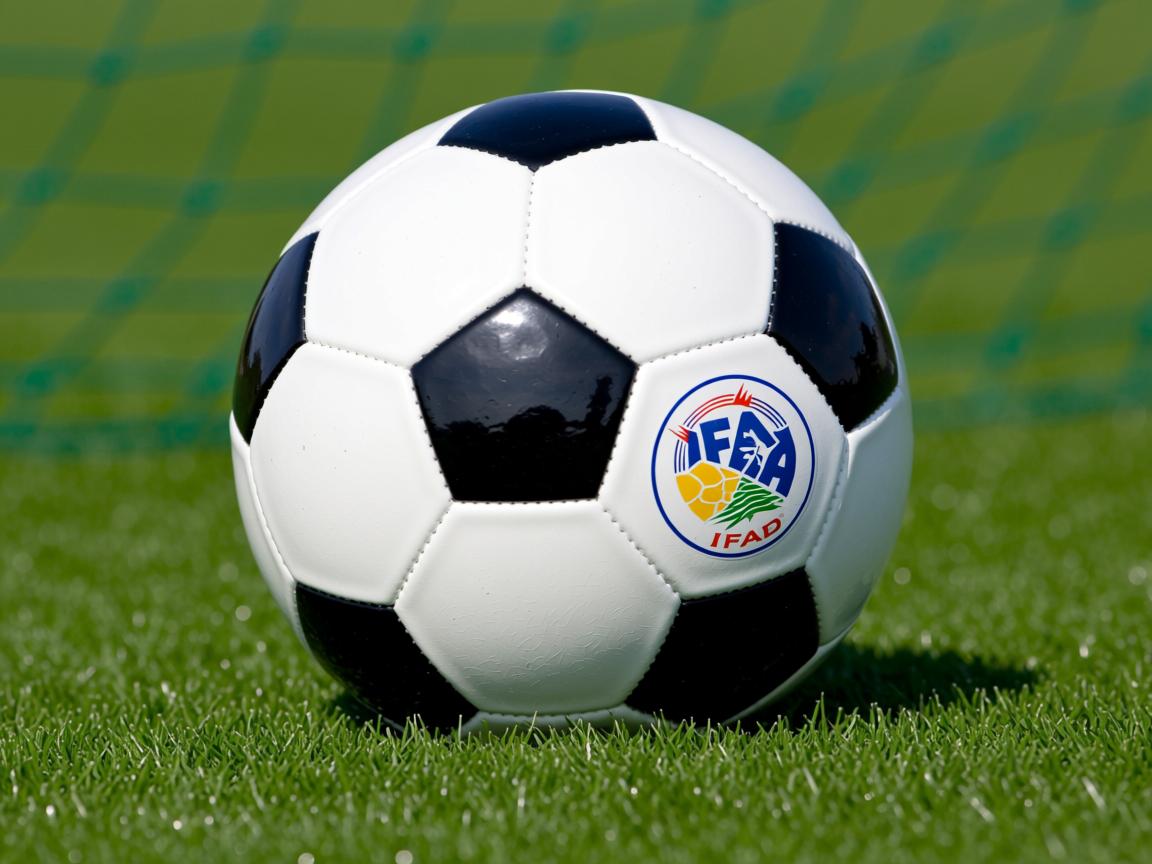 开云体育app在线-五大联赛替补席年轻化趋势是否带动整体节奏提升，五大联赛最年轻  第3张